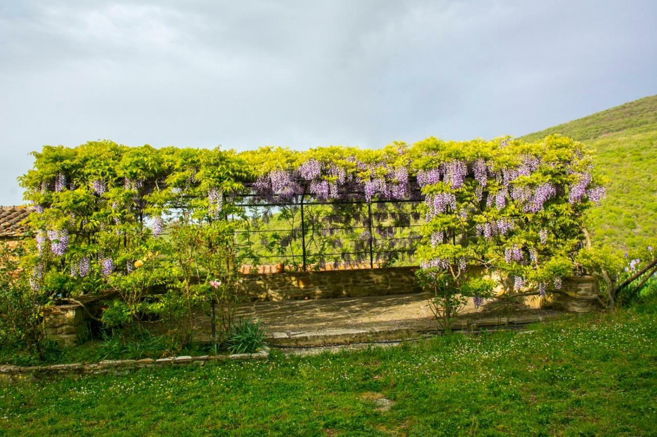 Borgo Solamore Hotell Cortona Exteriör bild
